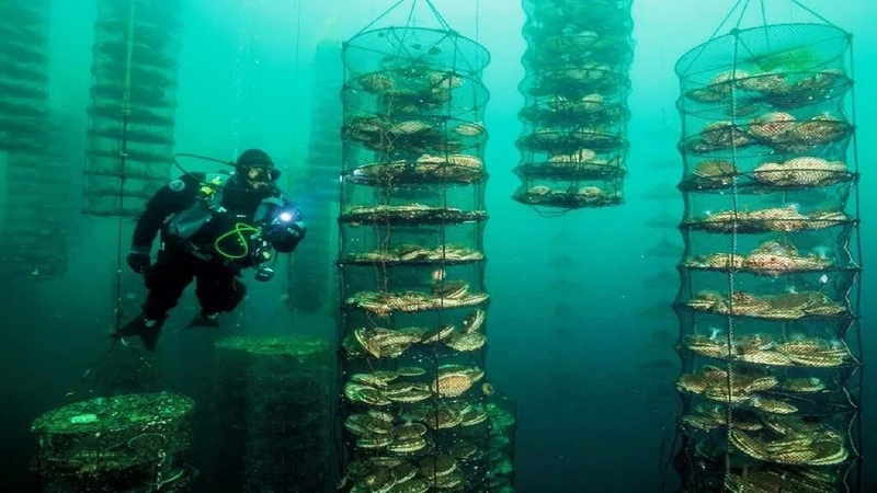 水产养殖用药厂家排名榜
