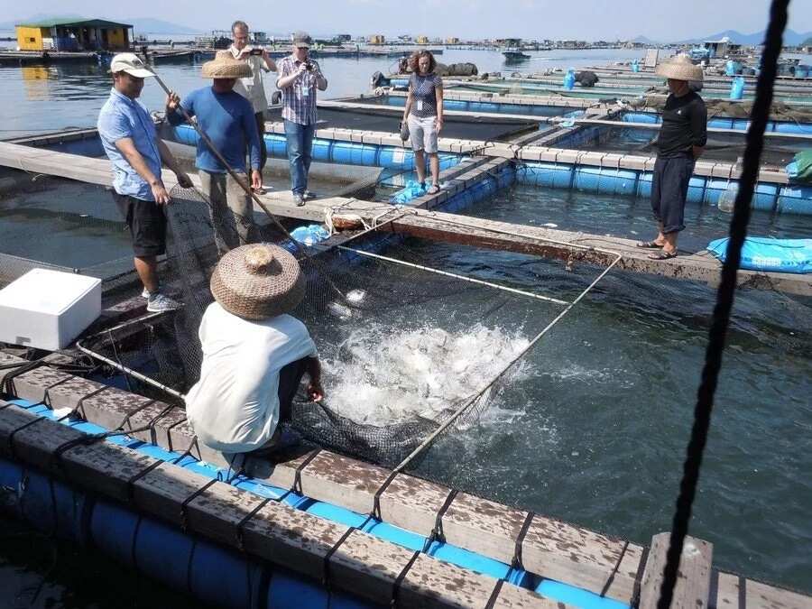 杭州市水产养殖公司