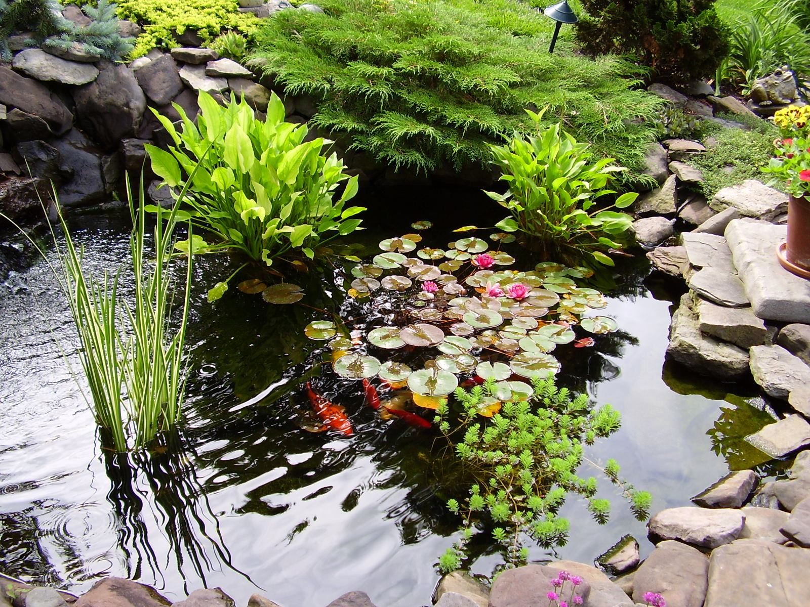 水产养殖人才招聘