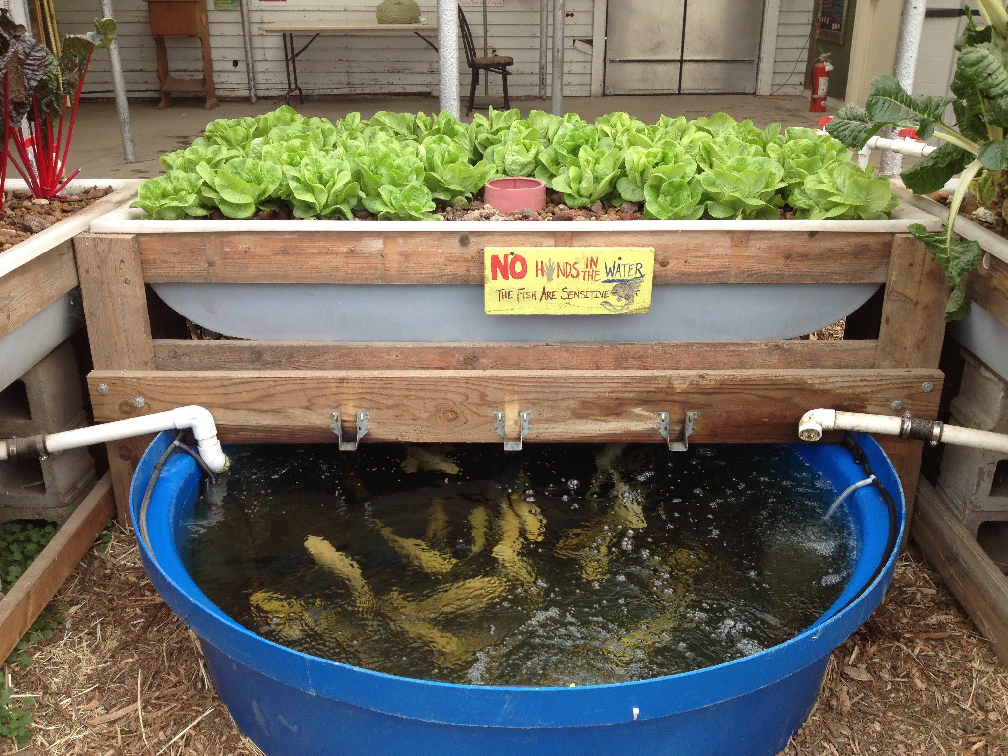 水产养殖介绍