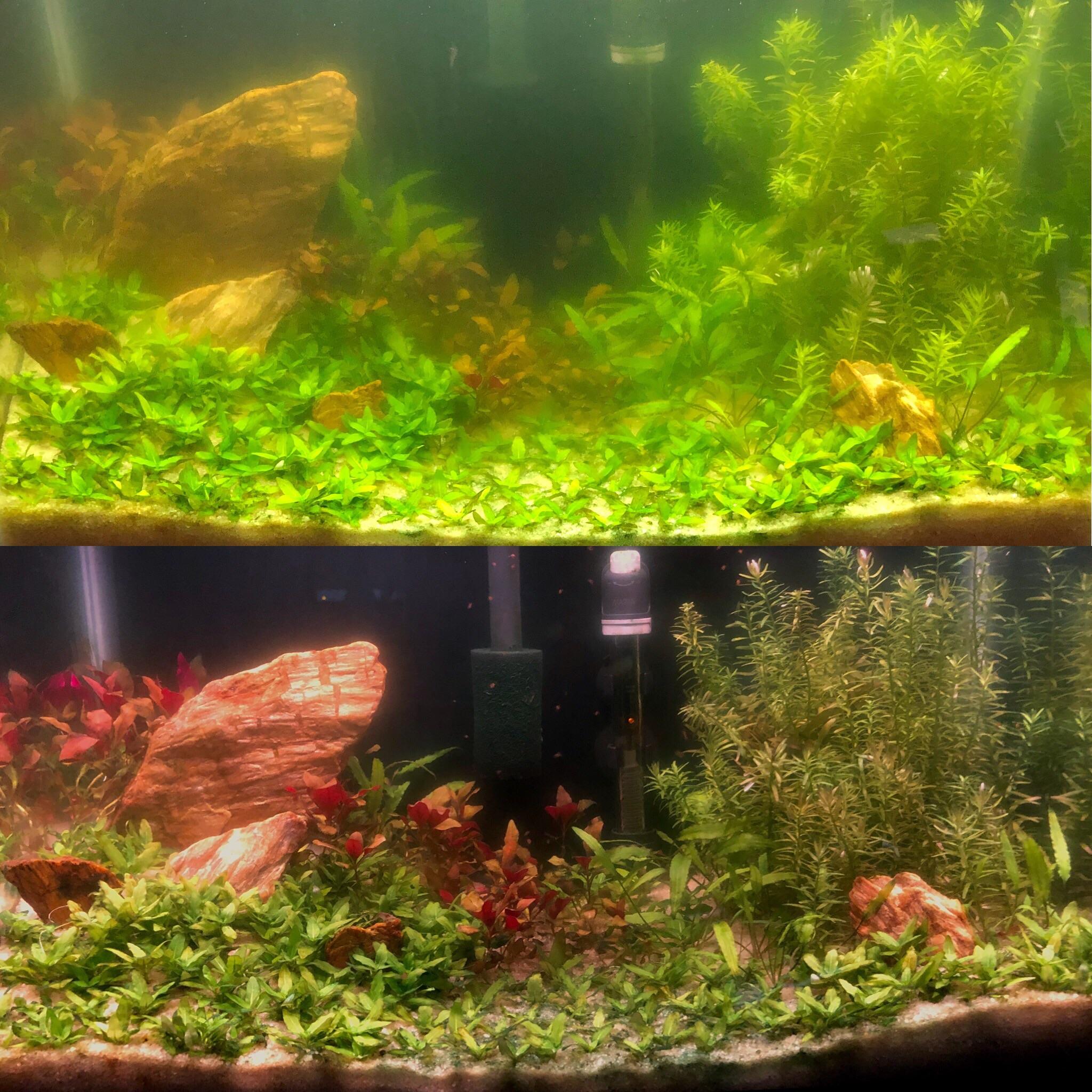 水产养殖用药十大品牌排行榜