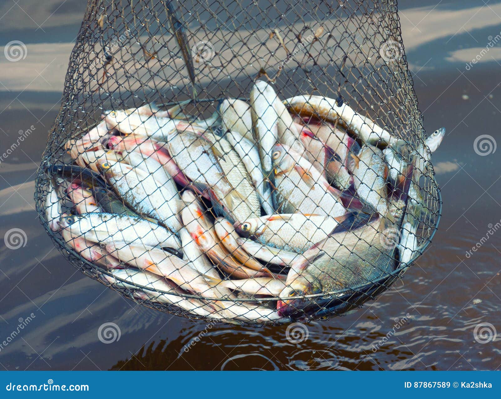 水产药品哪家质量好